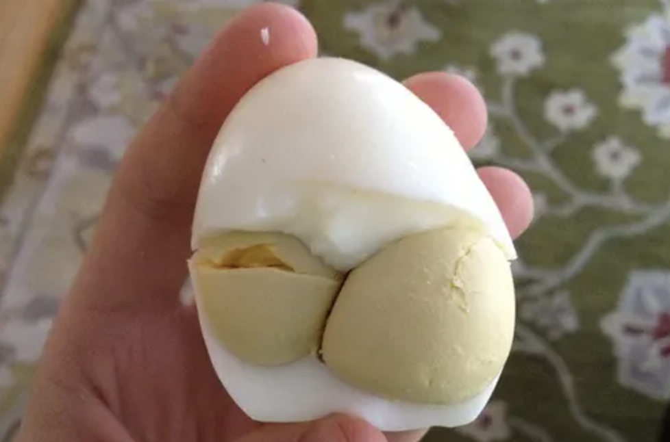 Vaječný žloutek